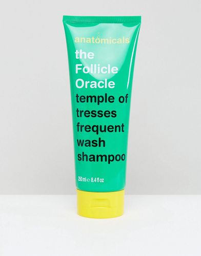 The Follicle Oracle - Shampoo da 250 ml - Anatomicals - Modalova