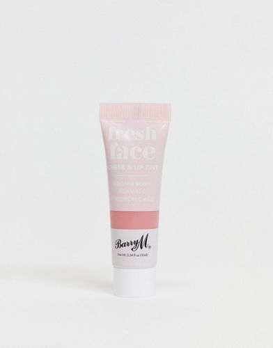 Fresh Face Cheek & Lip Tint - Tinta guance e labbra in Summer Rose-Rosa - Barry M - Modalova