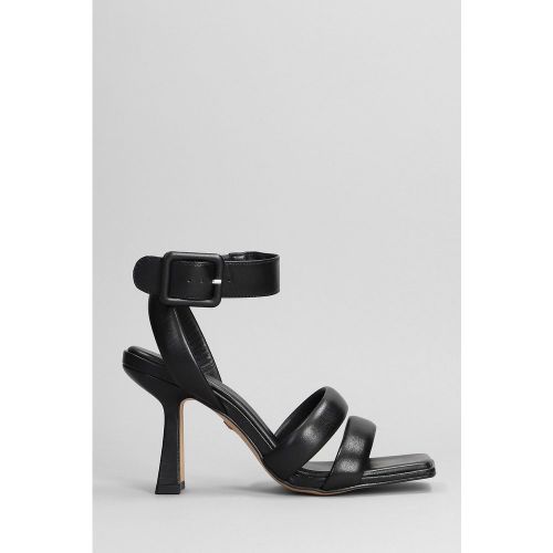 Sandali in Pelle Nera - Carrano - Modalova