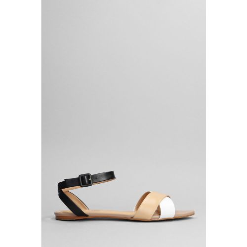 Sandali flats in Pelle Bianca - Carrano - Modalova