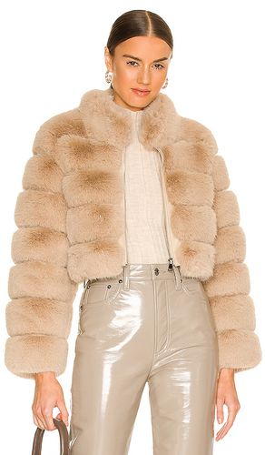 Faux Fox Fur Jacket in . Size L - Adrienne Landau - Modalova