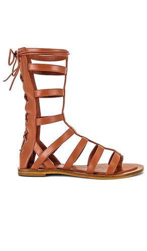 Gladiator Sandal in . Size 6.5 - DUNDAS x REVOLVE - Modalova